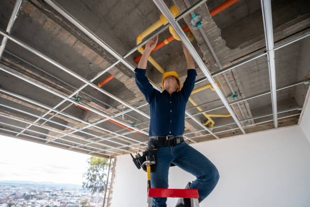 Best Local Plumber Services  in Urania, LA